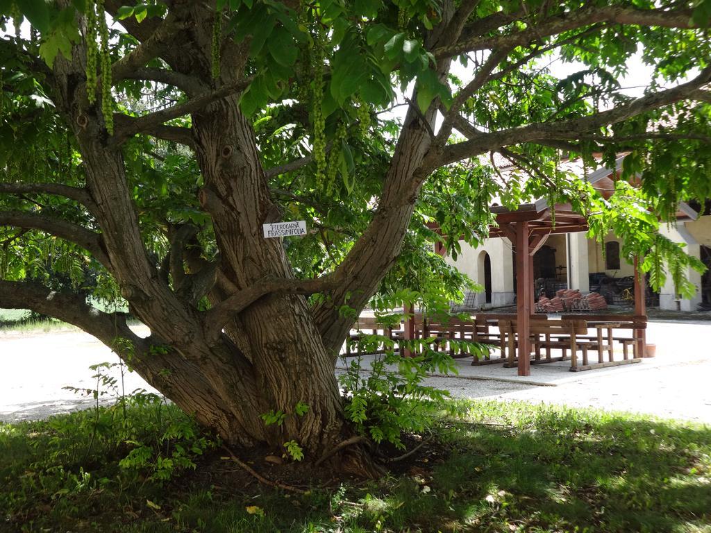 Agriturismo Rivieraoglio Piadena ภายนอก รูปภาพ