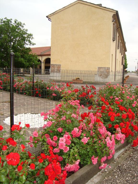 Agriturismo Rivieraoglio Piadena ภายนอก รูปภาพ